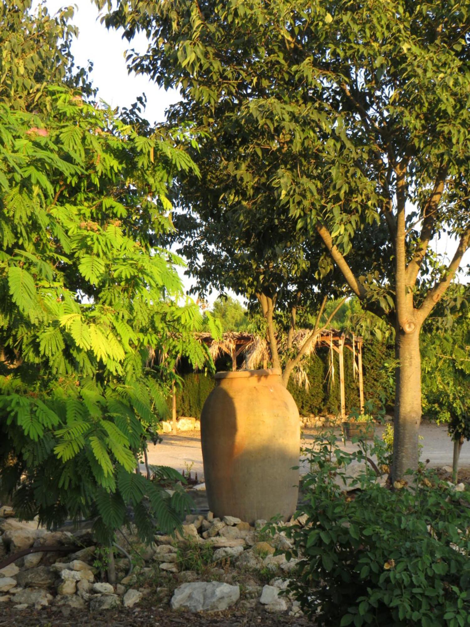 Hotel Enoturismo Mainetes Fuente-Alamo  Luaran gambar