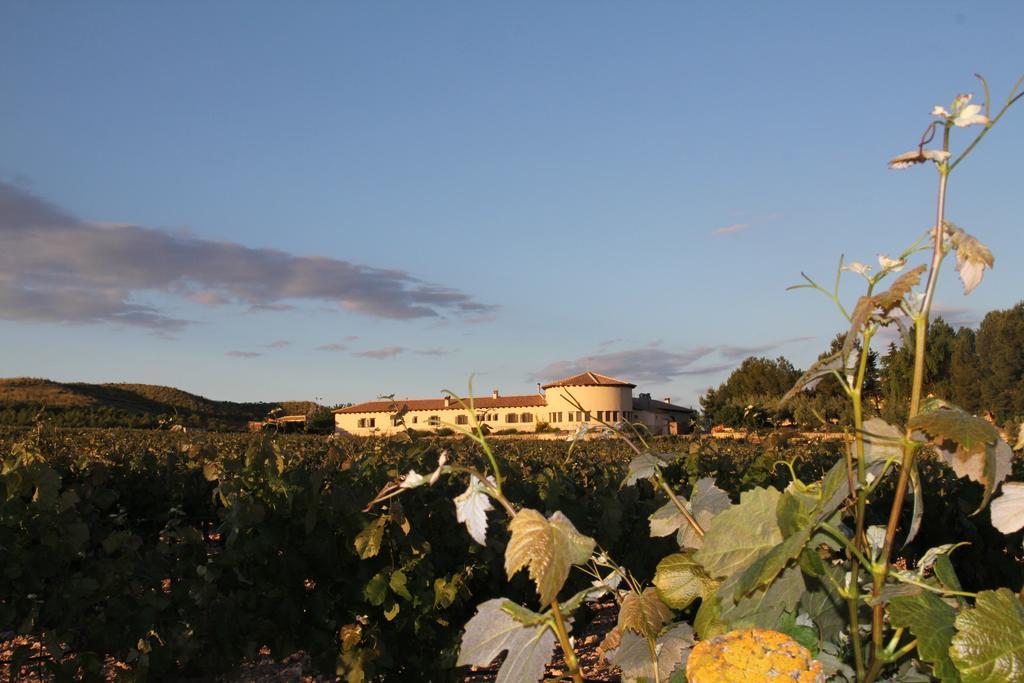 Hotel Enoturismo Mainetes Fuente-Alamo  Luaran gambar
